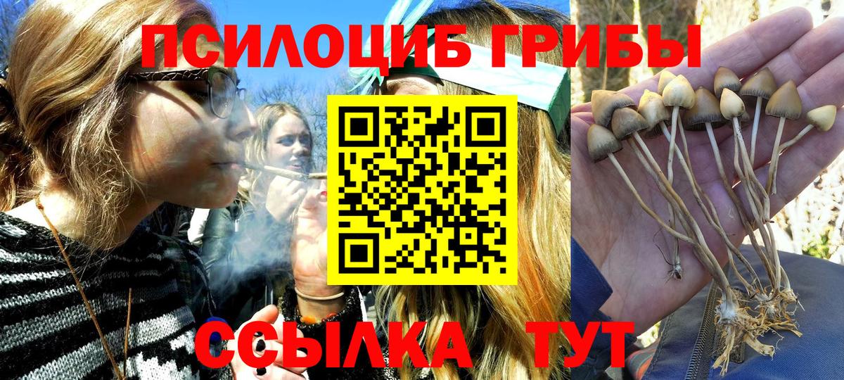 Галлюциногенные грибы Cubensis Зерноград