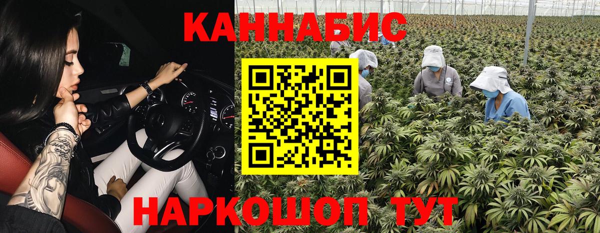 Конопля конопля  Вход с VPN  Зерноград  МАРИХУАНА Ganja 